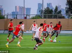 关于刚果国脚归队备战瑞士队,备受期待的信息